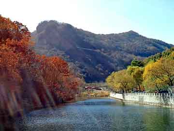 管家婆免费正版资起大全，凉山物流